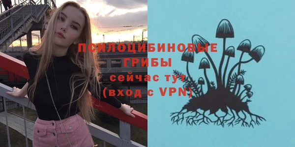 амф Магас