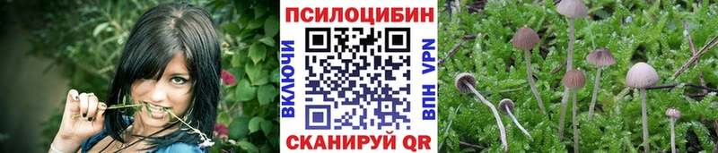 Галлюциногенные грибы Cubensis  наркошоп  Слюдянка 
